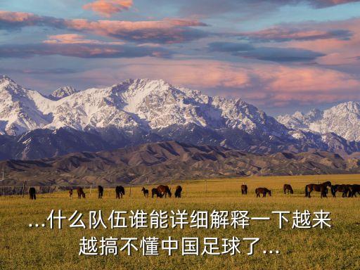 ...什么隊(duì)伍誰能詳細(xì)解釋一下越來越搞不懂中國足球了...