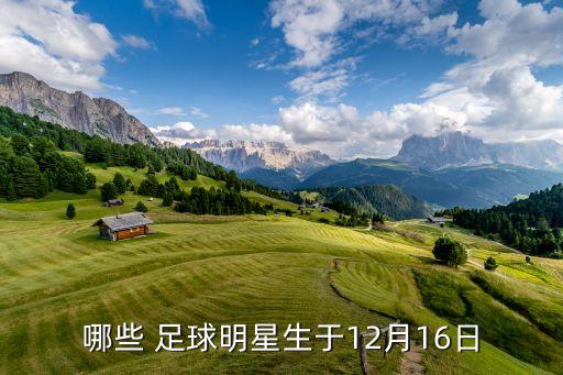 哪些 足球明星生于12月16日