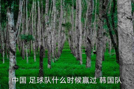 中國 足球隊(duì)什么時候贏過 韓國隊(duì)