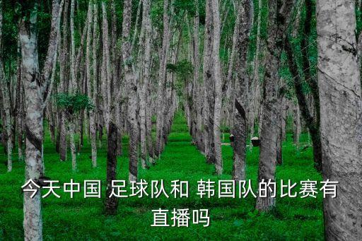 今天中國 足球隊(duì)和 韓國隊(duì)的比賽有直播嗎