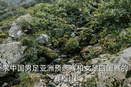 求中國男足亞洲預選賽和女足四國賽的賽程!!!