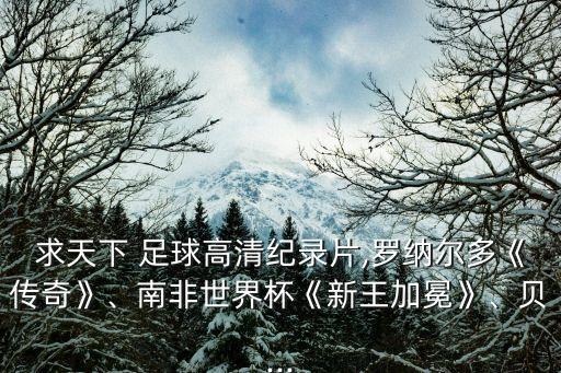 求天下 足球高清紀(jì)錄片,羅納爾多《傳奇》、南非世界杯《新王加冕》、貝...