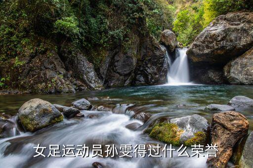 女足運動員孫雯得過什么榮譽