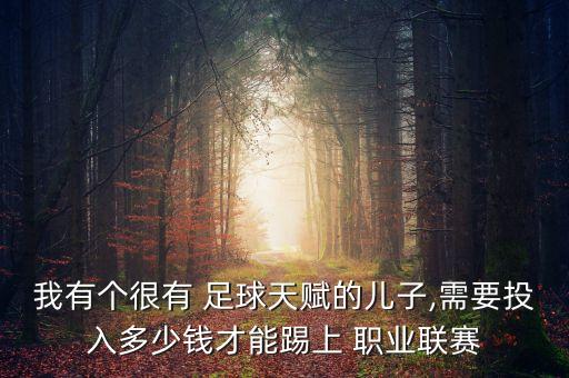 我有個(gè)很有 足球天賦的兒子,需要投入多少錢才能踢上 職業(yè)聯(lián)賽