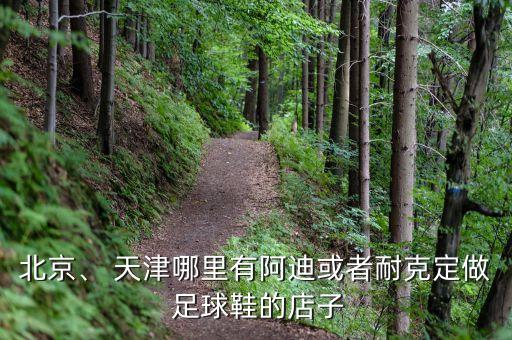 北京、 天津哪里有阿迪或者耐克定做 足球鞋的店子