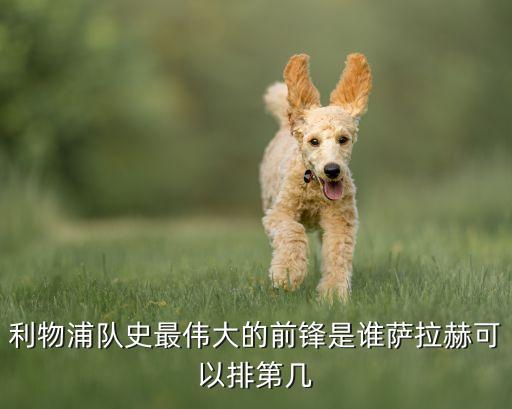egypt足球隊(duì)成員,克羅地亞足球隊(duì)成員