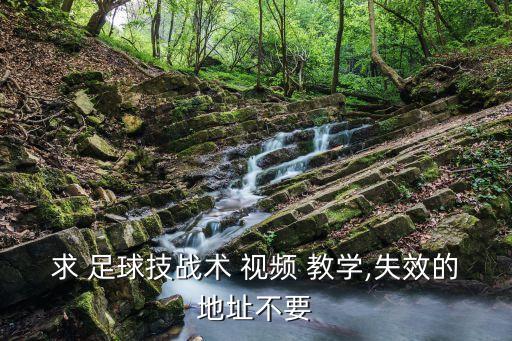 求 足球技戰(zhàn)術(shù) 視頻 教學,失效的地址不要