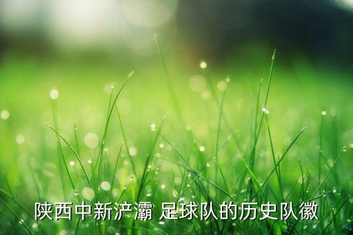 陜西中新浐灞 足球隊的歷史隊徽