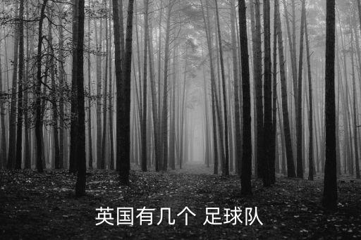 英國有幾個 足球隊
