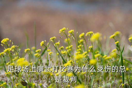  足球場上演武打比賽為什么受傷的總是裁判