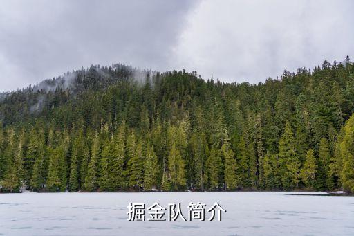 掘金隊(duì)簡(jiǎn)介
