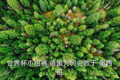 世界杯小組賽 德國為何會敗于 墨西哥
