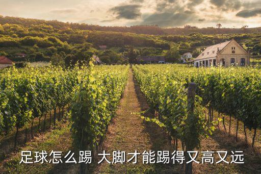  足球怎么踢 大腳才能踢得又高又遠
