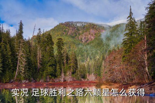  實(shí)況 足球勝利之路六顆星怎么獲得