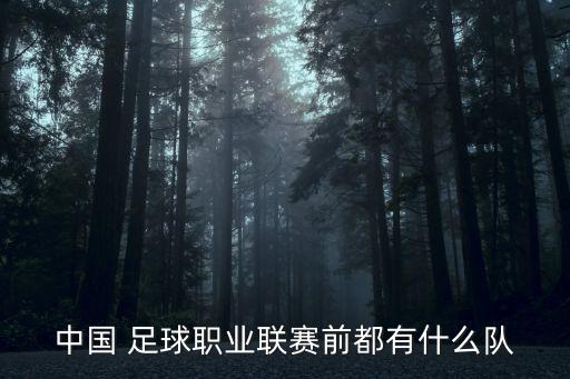 中國 足球職業(yè)聯(lián)賽前都有什么隊