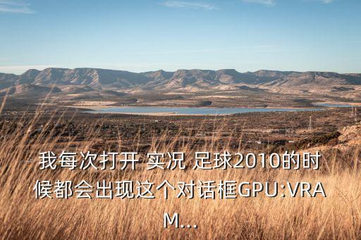 我每次打開(kāi) 實(shí)況 足球2010的時(shí)候都會(huì)出現(xiàn)這個(gè)對(duì)話(huà)框GPU:VRAM...