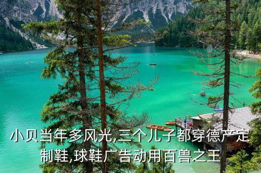 小貝當(dāng)年多風(fēng)光,三個(gè)兒子都穿德產(chǎn)定制鞋,球鞋廣告動用百獸之王