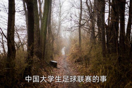 中國(guó)大學(xué)生足球聯(lián)賽的事