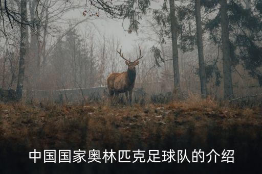 中國(guó)國(guó)家奧林匹克足球隊(duì)的介紹