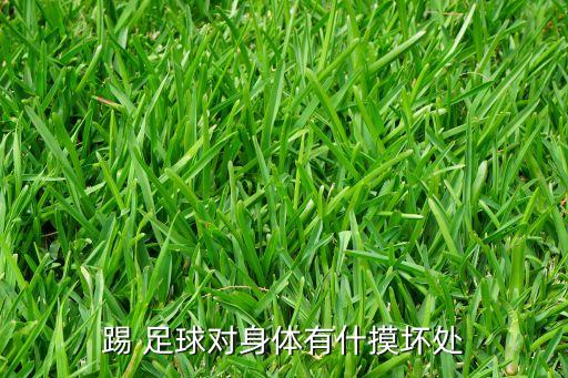 踢 足球?qū)ι眢w有什摸壞處