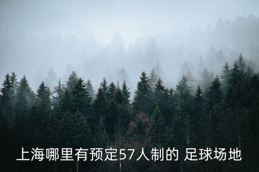 上海哪里有預(yù)定57人制的 足球場(chǎng)地