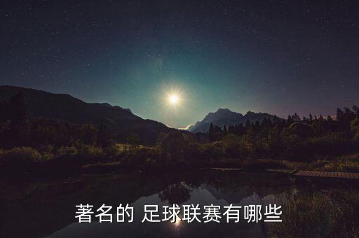 著名的 足球聯賽有哪些