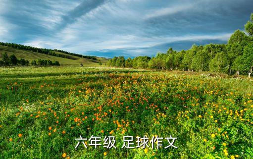 六年級 足球作文