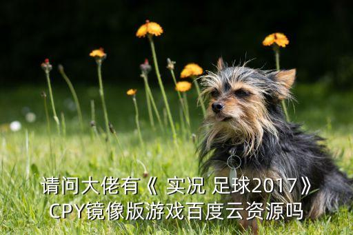 實(shí)況足球2017正式版
