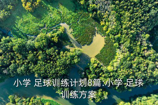 足球青訓(xùn)技術(shù)和技能,足球的技術(shù)與技能是什么