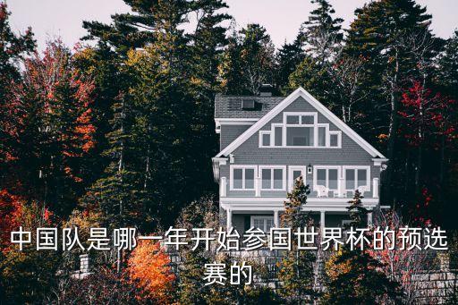 中國隊是哪一年開始參國世界杯的預(yù)選賽的