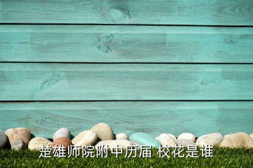 楚雄師院附中歷屆 校花是誰