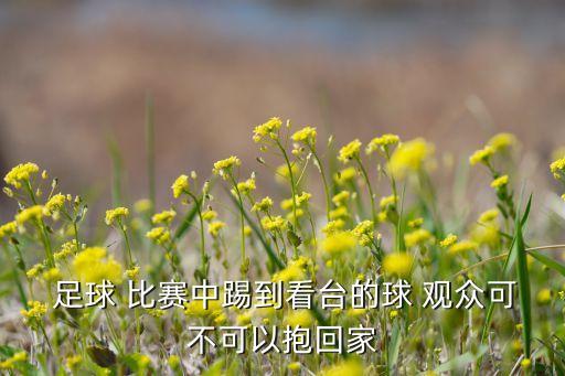 足球比賽現(xiàn)場(chǎng)觀眾,對(duì)足球比賽觀眾的描寫