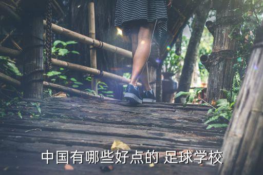 中國有哪些好點(diǎn)的 足球?qū)W校