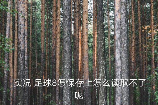  實(shí)況 足球8怎保存上怎么讀取不了呢