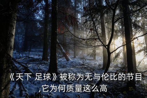 《天下 足球》被稱為無與倫比的節(jié)目,它為何質量這么高