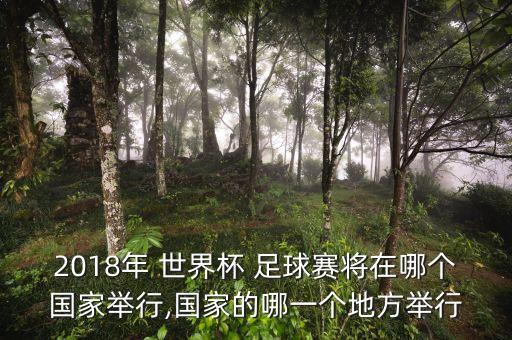 2018世界杯足球生產(chǎn)國,世界杯足球是哪國生產(chǎn)的