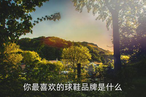 adidascopa平底足球鞋
