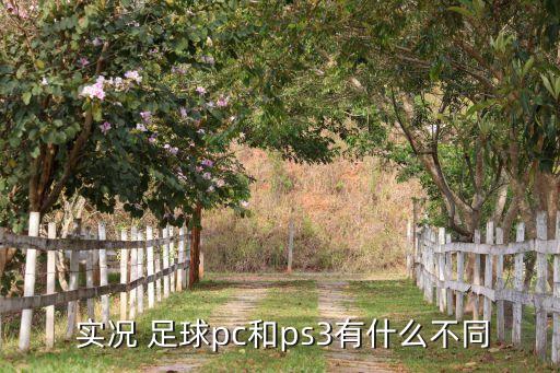 實況足球3補丁