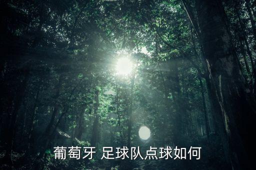葡萄牙 足球隊點球如何