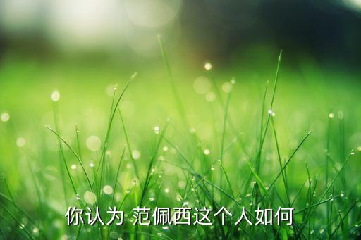 你認為 范佩西這個人如何