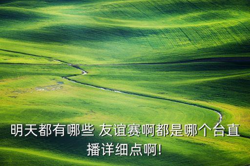 明天都有哪些 友誼賽啊都是哪個(gè)臺直播詳細(xì)點(diǎn)啊!