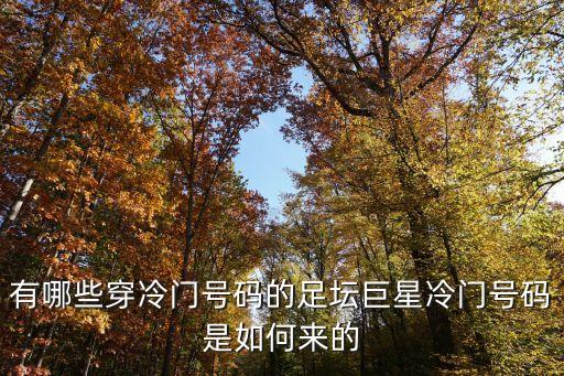 有哪些穿冷門號碼的足壇巨星冷門號碼是如何來的