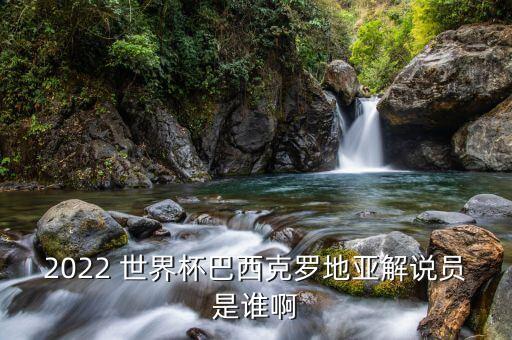 2022 世界杯巴西克羅地亞解說員是誰啊