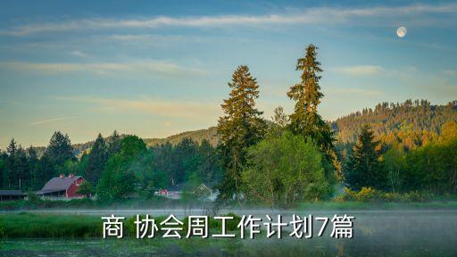 商 協(xié)會周工作計劃7篇