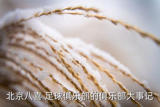 北京八喜 足球俱樂部的俱樂部大事記