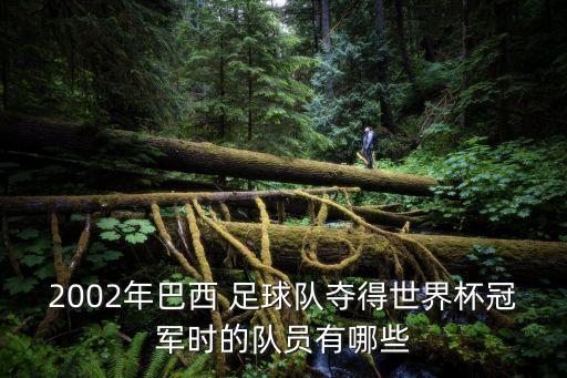 2002年巴西 足球隊(duì)奪得世界杯冠軍時(shí)的隊(duì)員有哪些