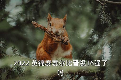 英足球英錦賽今日戰(zhàn)報