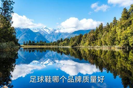  足球鞋哪個品牌質(zhì)量好