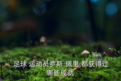  足球 運動員羅斯·佩里,都獲得過哪些成就