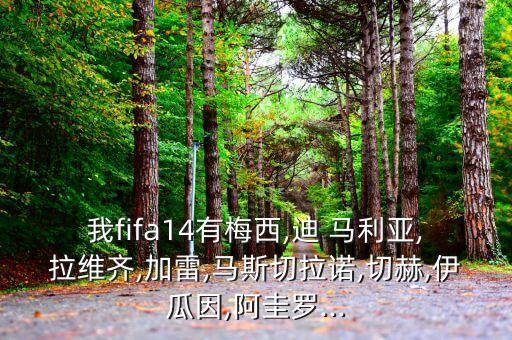 足球大師迪馬利亞433,迪馬利亞是哪國的足球運(yùn)動(dòng)員